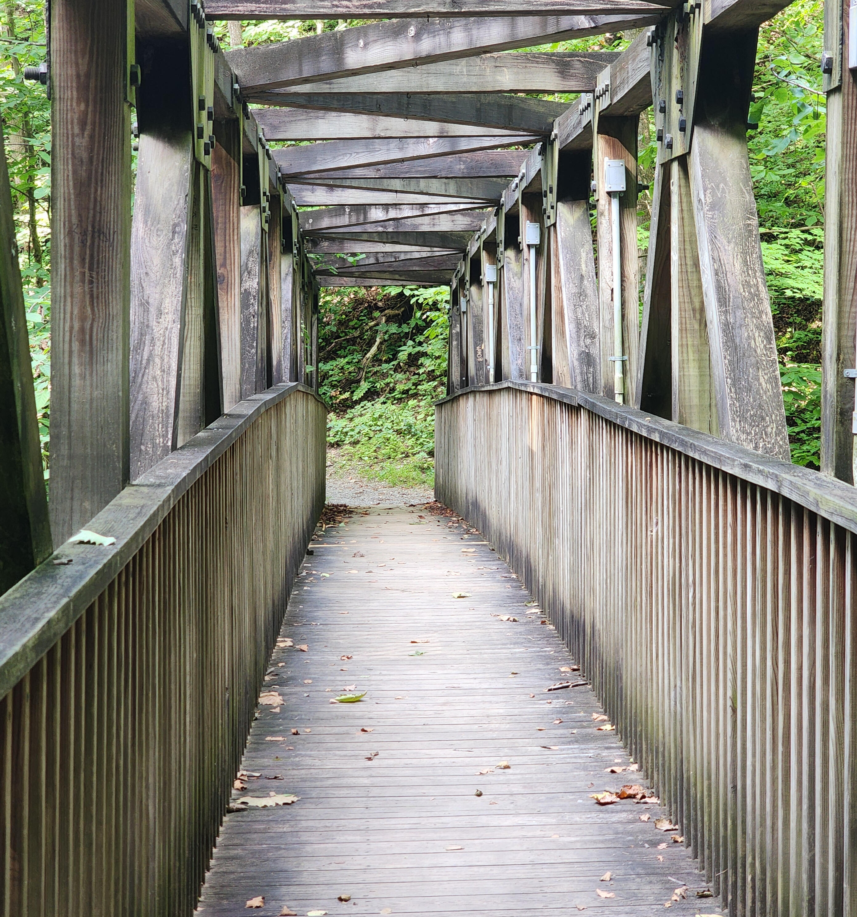 Wooden bridge pathway through forest symbolizing personal growth, reflection, and new beginnings